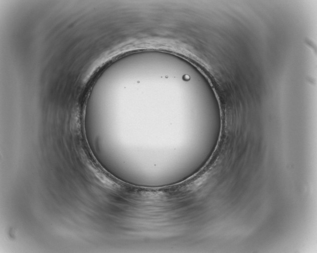 X0000099481498200805091557