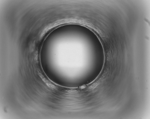 X0000099481499200805091557