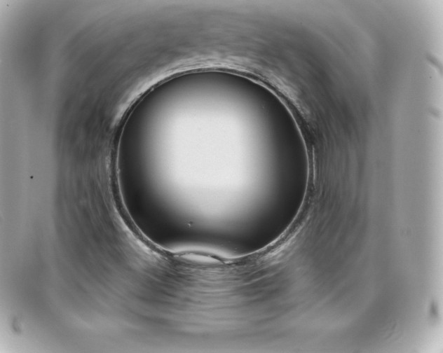 X0000099481500200805091557