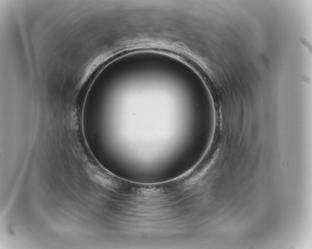 X0000099481501200805091557