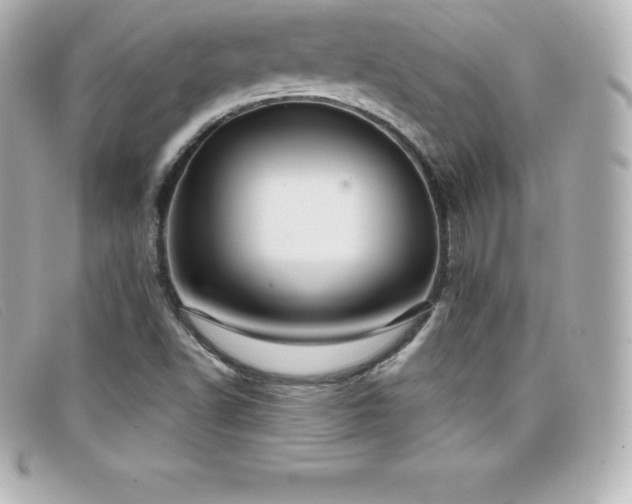 X0000099481502200805091557