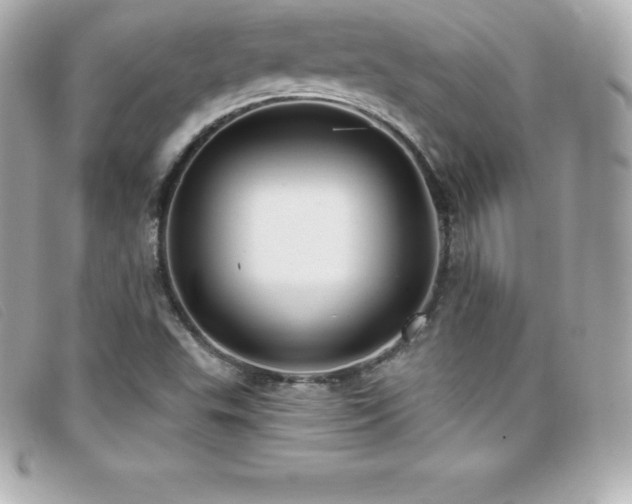 X0000099481503200805091557