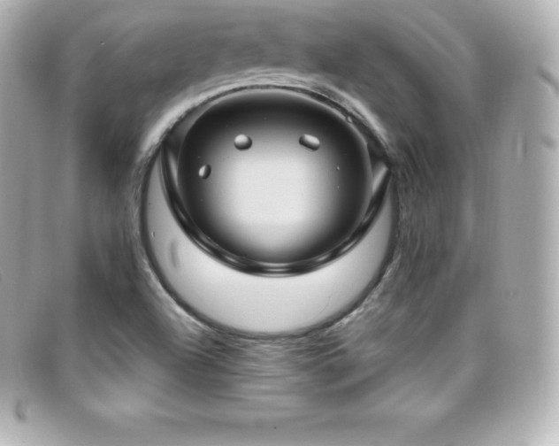 X0000099481504200805091557