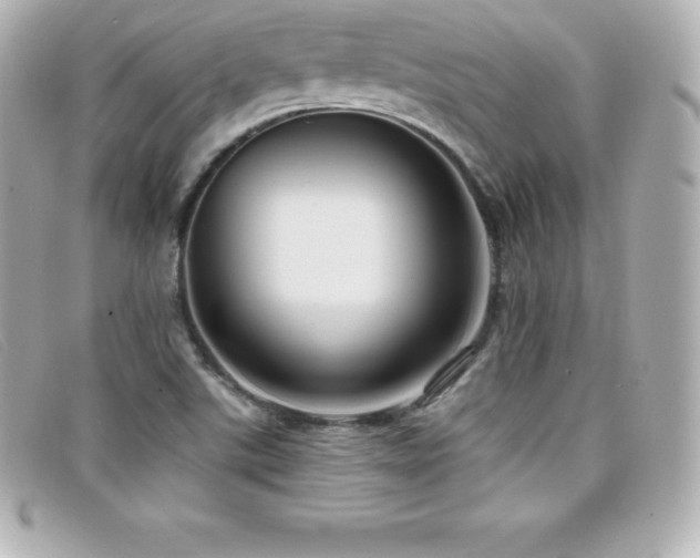 X0000099481507200805091557