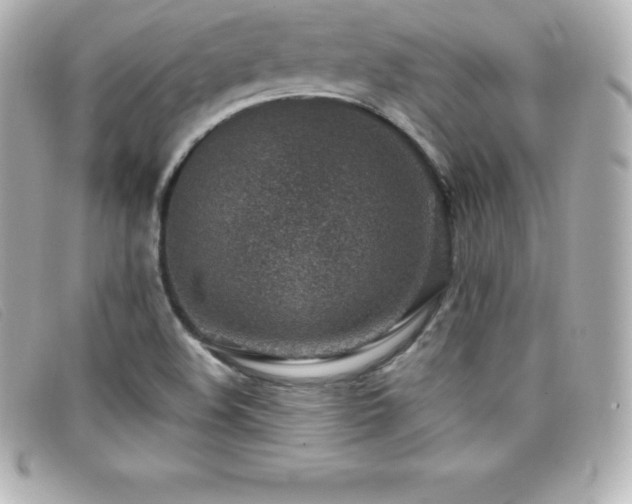 X0000099481508200805091557