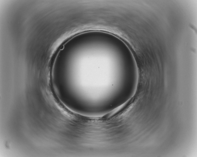 X0000099481511200805091557