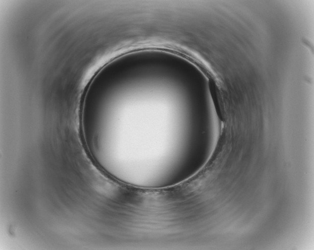 X0000099481512200805091557
