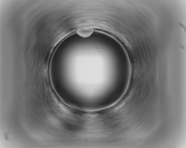 X0000099481513200805091557