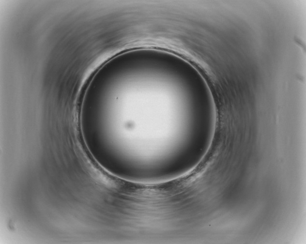 X0000099481517200805091557