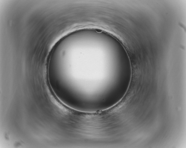 X0000099481518200805091557