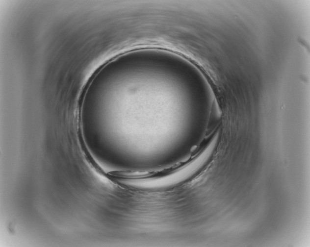 X0000099481519200805091557