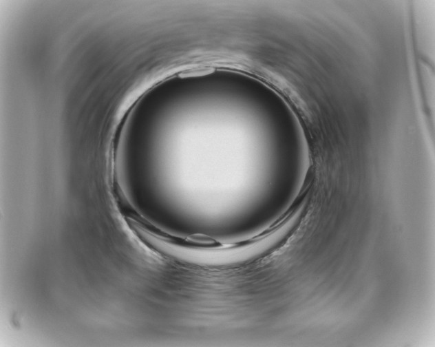 X0000099481520200805091557