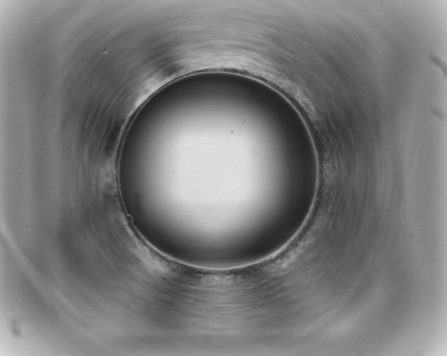 X0000099481521200805091557