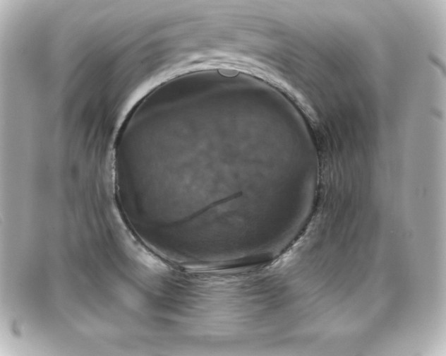 X0000099481522200805091557