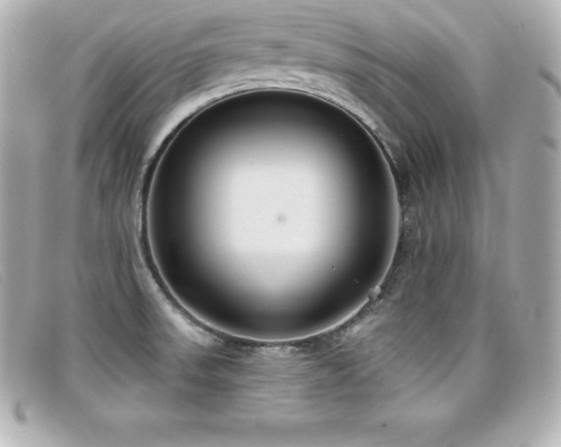 X0000099481523200805091557