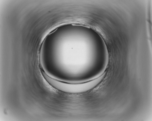 X0000099481524200805091557
