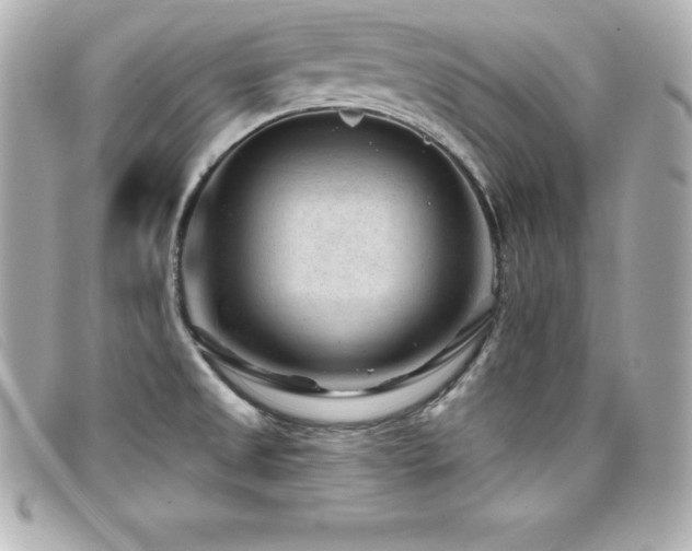 X0000099481525200805091557