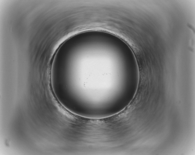 X0000099481526200805091557