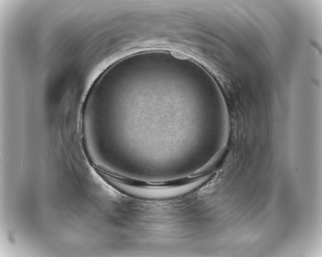 X0000099481527200805091557