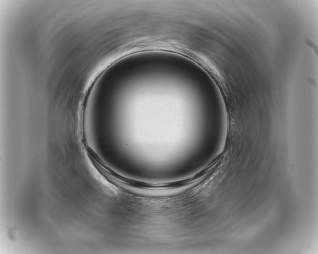 X0000099481528200805091557