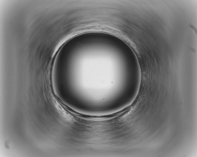 X0000099481530200805091557