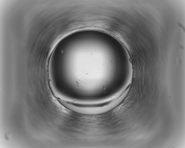 X0000099481532200805091558