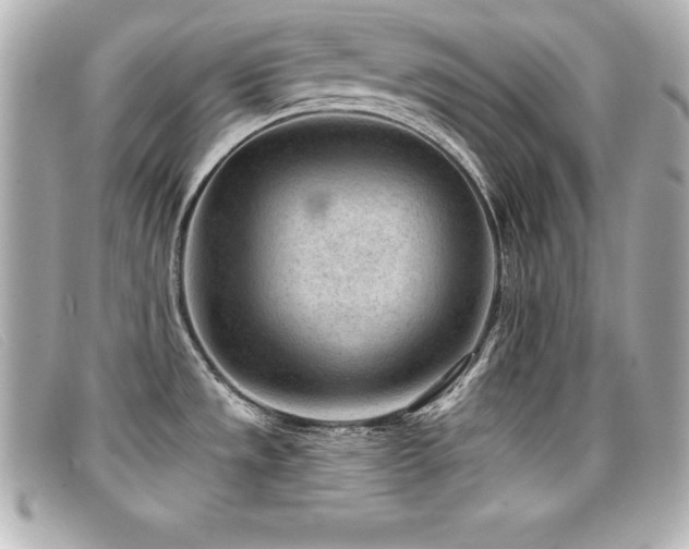 X0000099481533200805091558