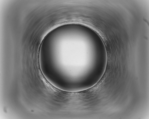 X0000099481534200805091558