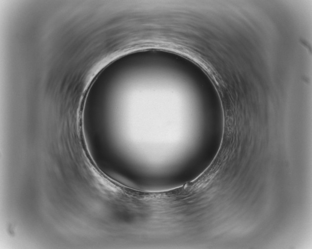 X0000099481535200805091558