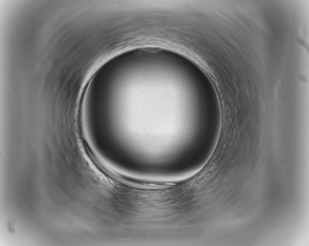 X0000099481536200805091558