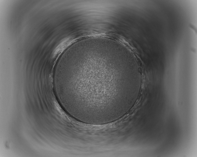 X0000099480002200805161146