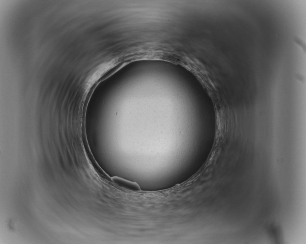 X0000099480003200805161146