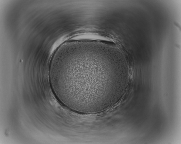 X0000099480004200805161146