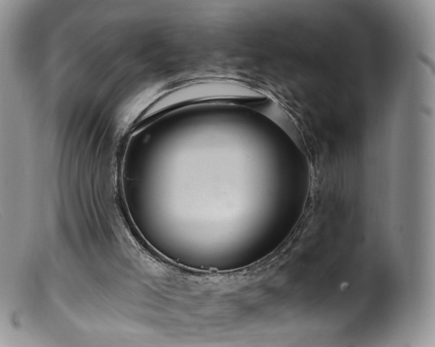 X0000099480005200805161146