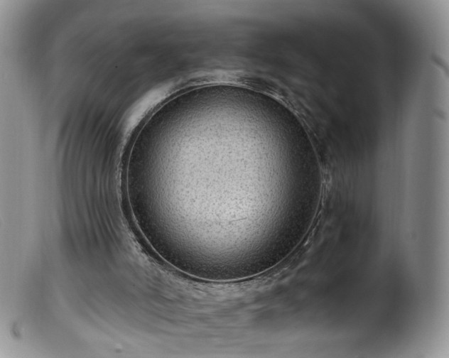 X0000099480006200805161146