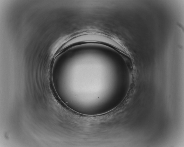 X0000099480007200805161146