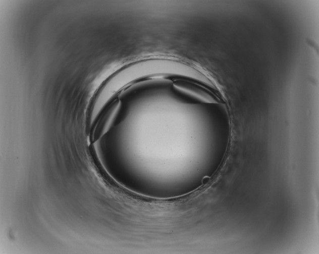 X0000099480008200805161146