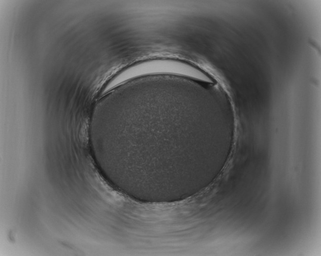 X0000099480009200805161146
