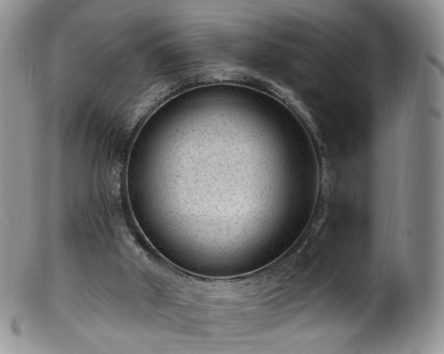 X0000099480010200805161146