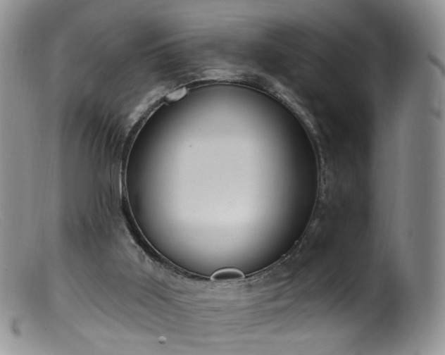 X0000099480011200805161145