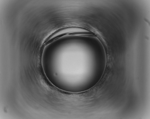 X0000099480012200805161145