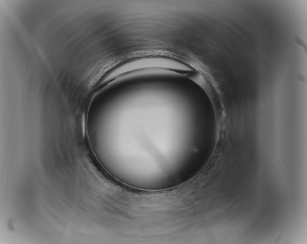 X0000099480013200805161145
