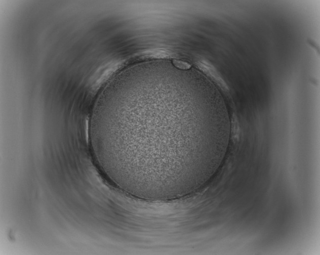 X0000099480014200805161145