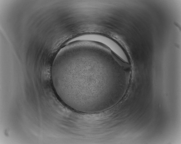 X0000099480017200805161145
