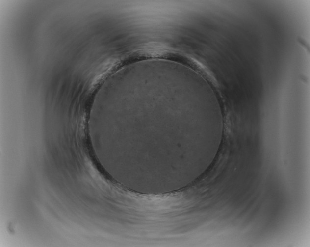 X0000099480018200805161145