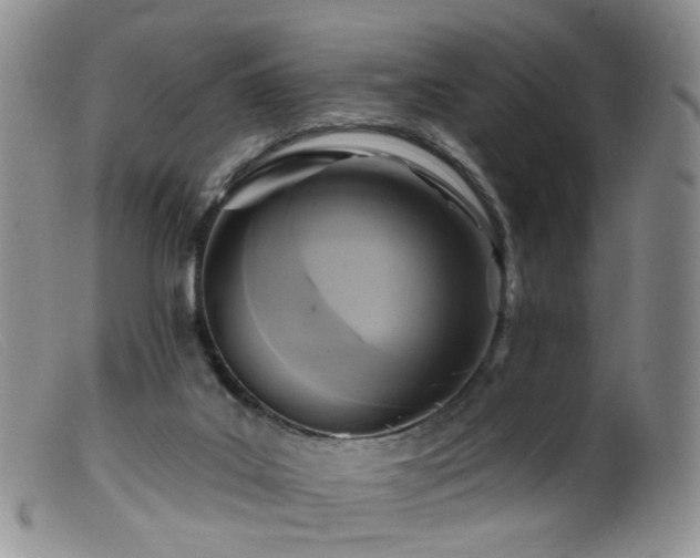 X0000099480019200805161145