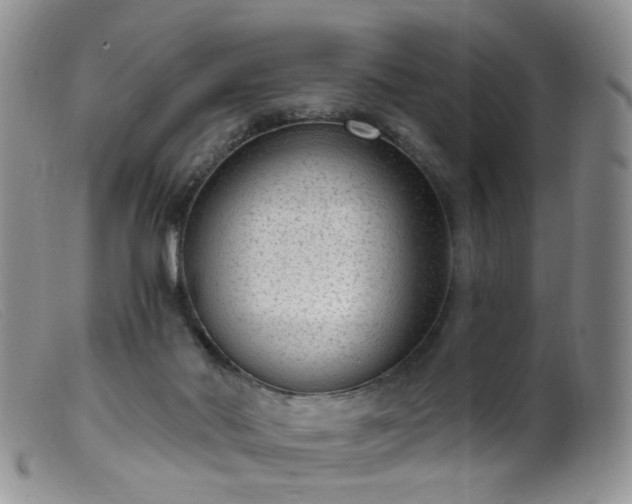 X0000099480022200805161145