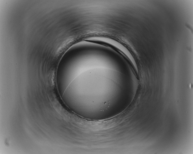 X0000099480023200805161145