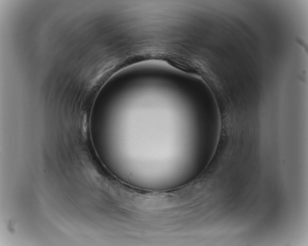 X0000099480024200805161145