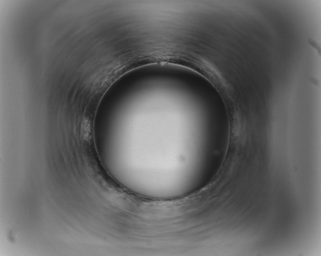 X0000099480025200805161145